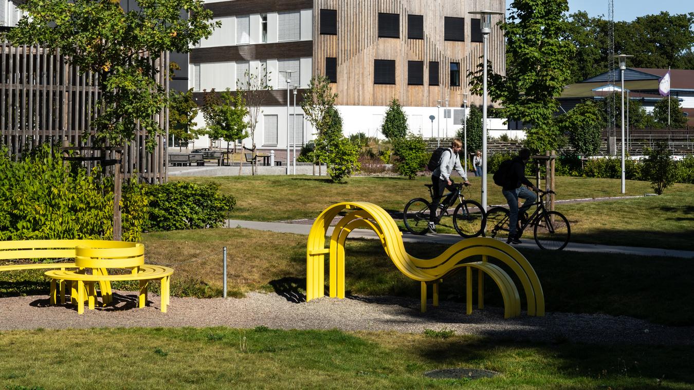 Grønt område utenfor skole. Gule dekorative sittebenker som også fungerer som lekestativ. To syklister. Foto