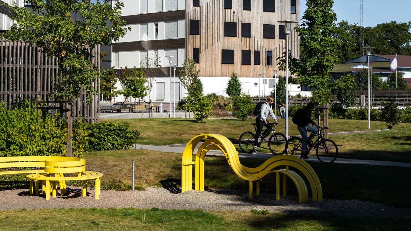 Green outdoor area with yellow decorative sitting benches. Photo