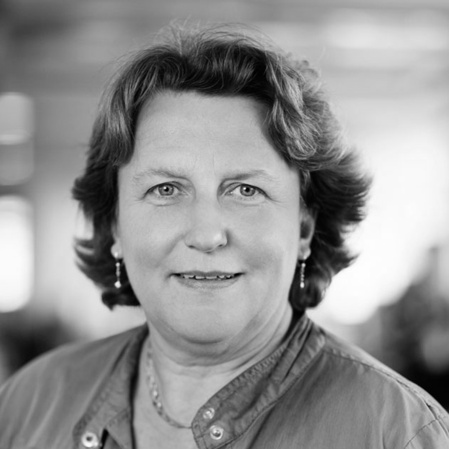 Ina Calmanovici, Architect LINK Arkitektur