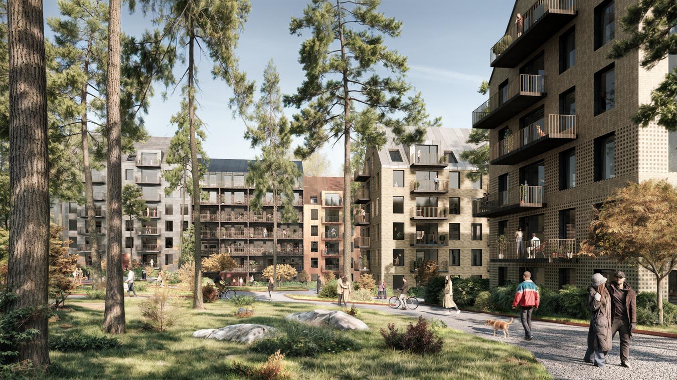 Kuratorn 6, LINK Arkitektur