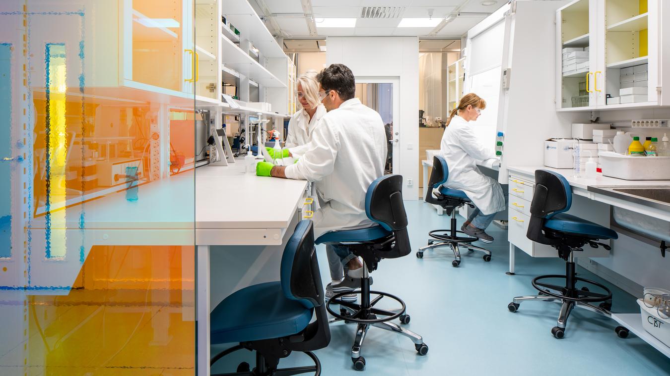 Laboratory with colors on partitions and floors. Photo
