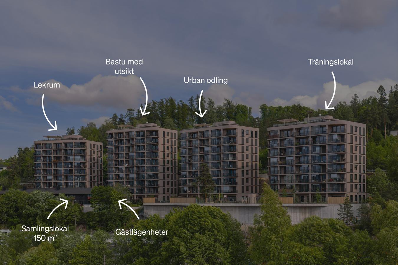 Fyrstikkbakken, LINK Arkitektur