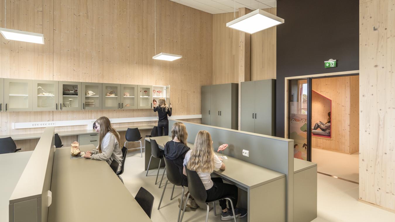 Classrooms in wood materials. Photo